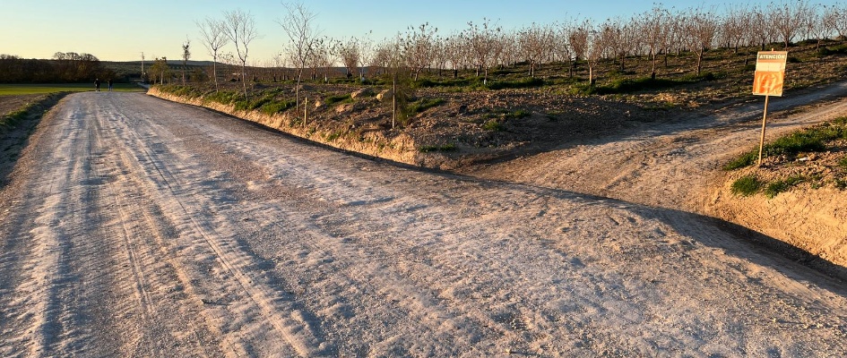 WhatsApp Image 2025-01-15 at 10.37.26 (1)