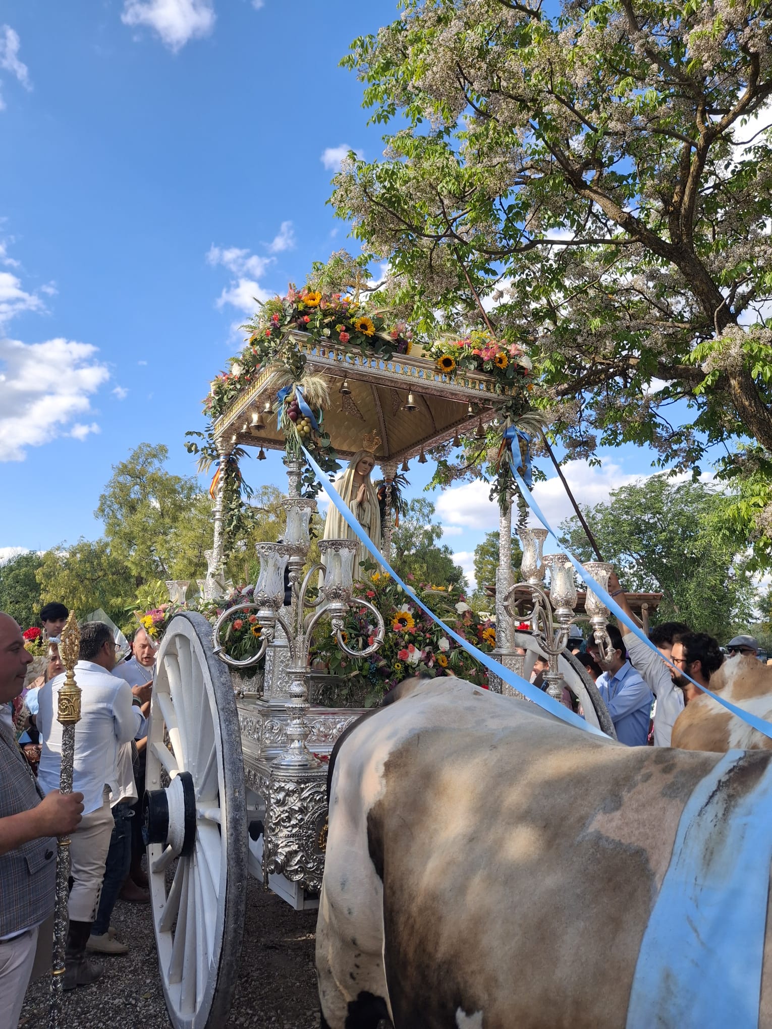 WhatsApp Image 2025-05-12 at 10.25.18 (3)