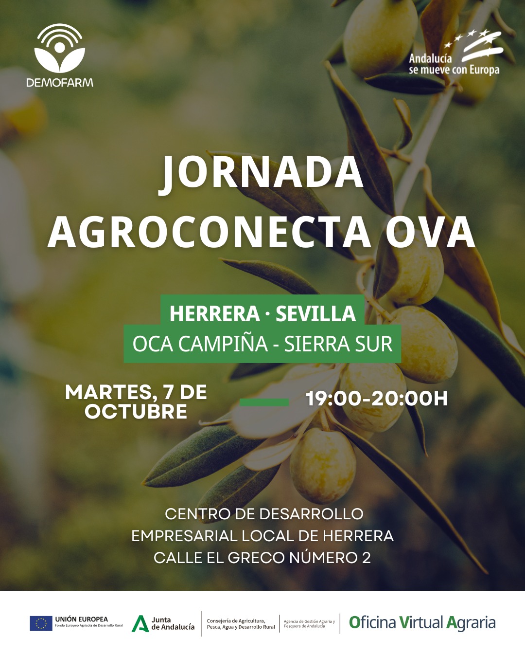 WhatsApp Image 2025-09-29 at 17.36.34