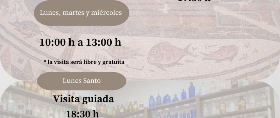 WhatsApp Image 2026-03-25 at 12.43.17