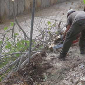 463564364_867552822153219_974814681412048243_n