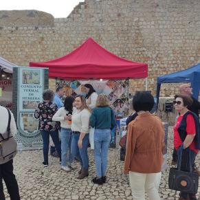 463972123_868554408719727_761196792324756697_n