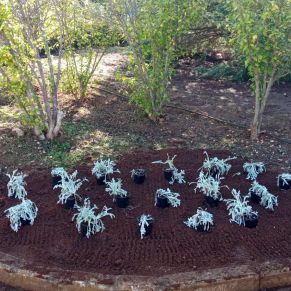 465771909_3928279454164266_3012312914097245843_n