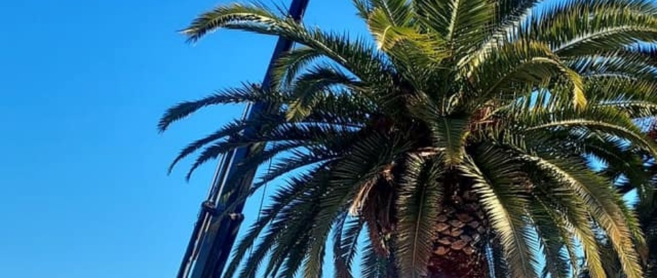 473192156_3984275118564699_6753928399601781175_n