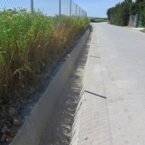 489381330_4062362227422654_7943483704422636842_n