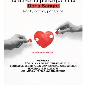 492369891_998387275736439_8342146954412786214_n - copia