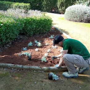 499449959_4108268202832056_8917451662182403913_n