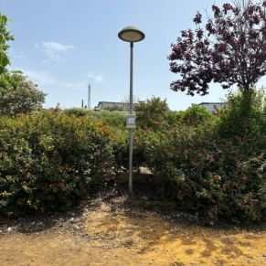 503714701_17898298314228117_606613717573307254_n