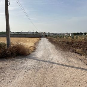 512654334_1044300637811769_741067237640266112_n