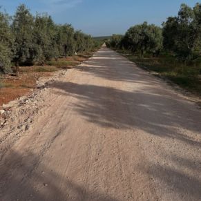 512700270_1044300654478434_4468558998701265722_n