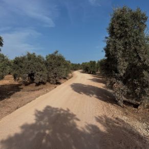 512732970_1044300537811779_2682928810530685214_n