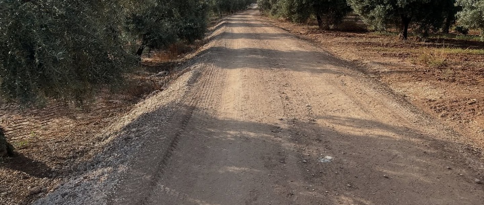 513958569_1044300567811776_272124043522935236_n