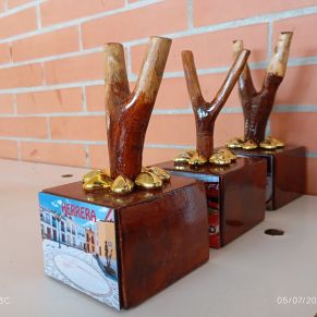 516903335_1201545518650603_2862797523849127300_n