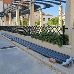 520542626_4163697613955781_1687956796537775327_n