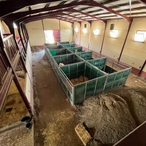 527514969_1073426191565880_6309375103461361182_n