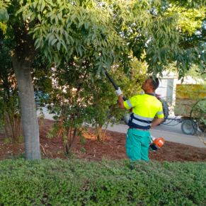 543547639_4215338248791717_691465235076417073_n