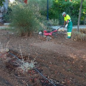 544583737_4215338978791644_6518549685131656775_n