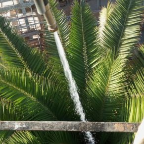 544729142_4215338972124978_5785197688811424203_n