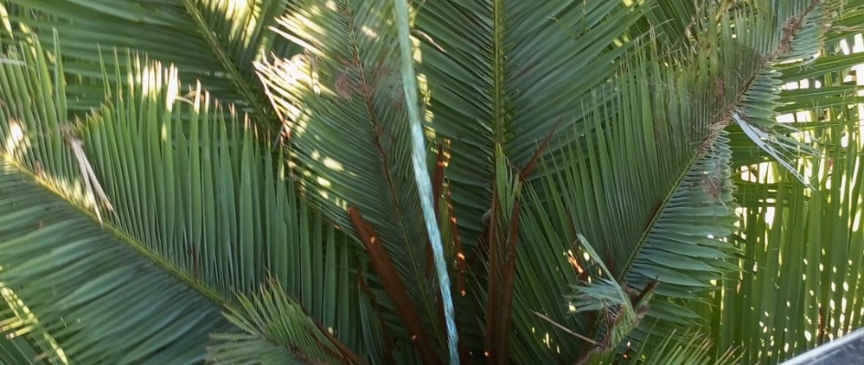 545024190_4215338415458367_8804709320101032520_n