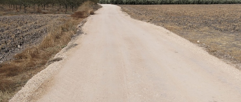 560366277_17911037607228117_3626461571751113388_n