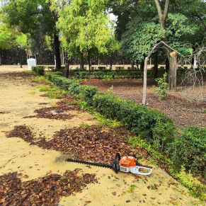 574291532_4278517495807125_3955464392294437894_n