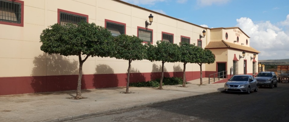 574557192_4278517125807162_5453362363636049213_n