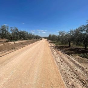 597635062_4313777525614455_2703474202387430445_n