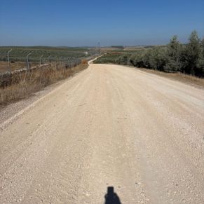 598582135_4313777542281120_5298386223514442745_n