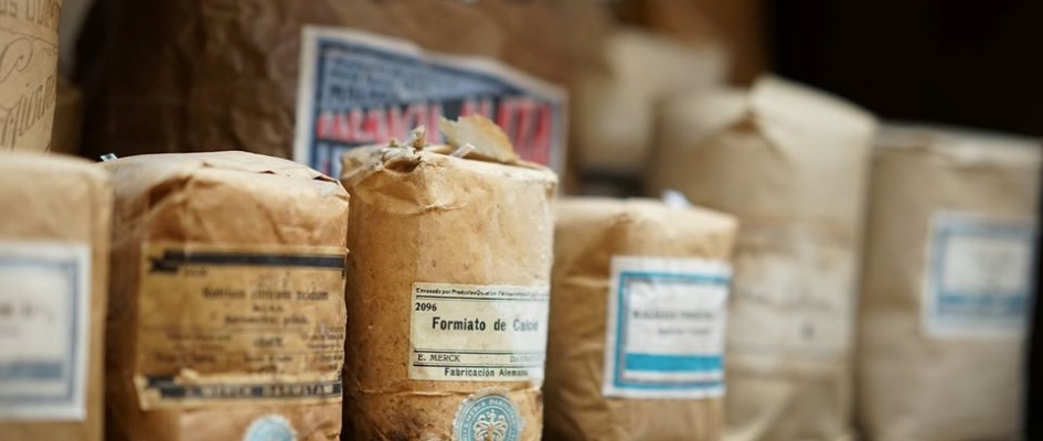 74314147_1690100394457821_6555978448735567872_n