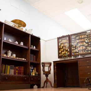 74495409_1690100574457803_8859225798758891520_n