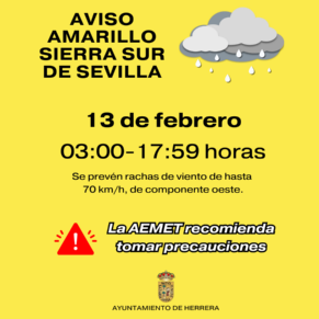 AVISO AMARILLO (5)