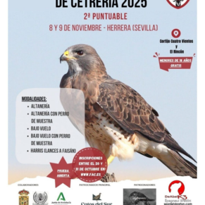 Diseño sin título (20)