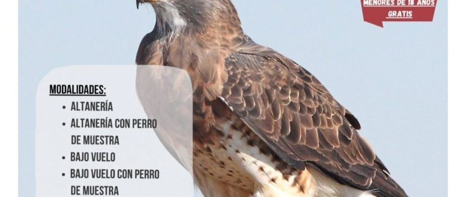 Diseño sin título (20)