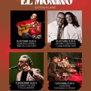 Foto Cuadrícula Talentos Muestra Volante (2)