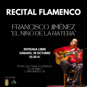 Post de Instagram Flamenco Ilustrativo Marrón (2)