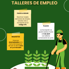 Taller de empleo (4)