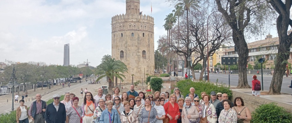 sevfem (2)